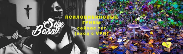 MESCALINE Елизово